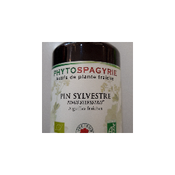 PIN SYLVESTRE Aiguilles Phytospagyrie