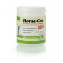 Horse-Cox, mobilité articulaire pour les chevaux, anibio